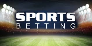 How to Make Money Betting on Cricket 13 How to Make Money Betting on Cricket 13