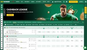 Understanding the BetWinner Withdrawal Process Understanding the BetWinner Withdrawal Process